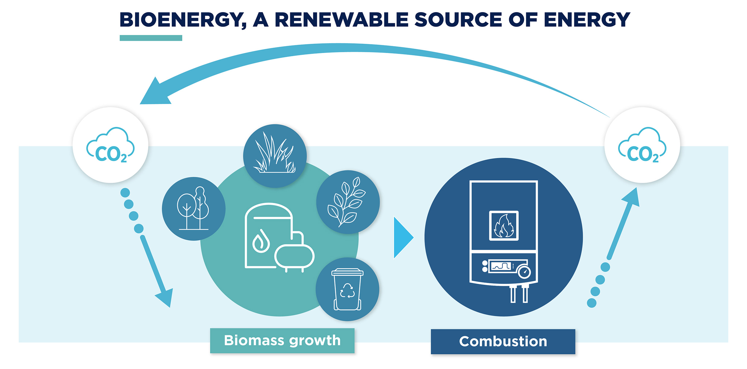 Bioenergy - A renewable source