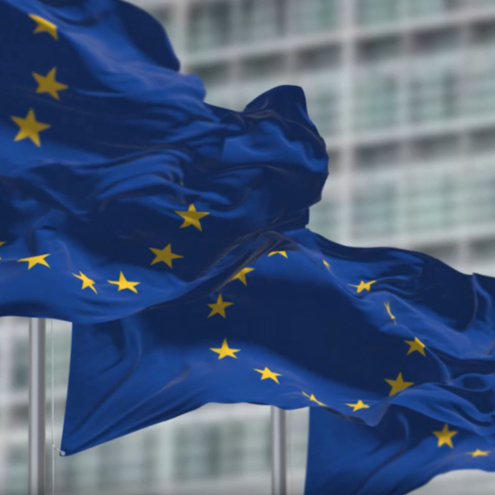 Europaflaggen vor modernem Gebäude