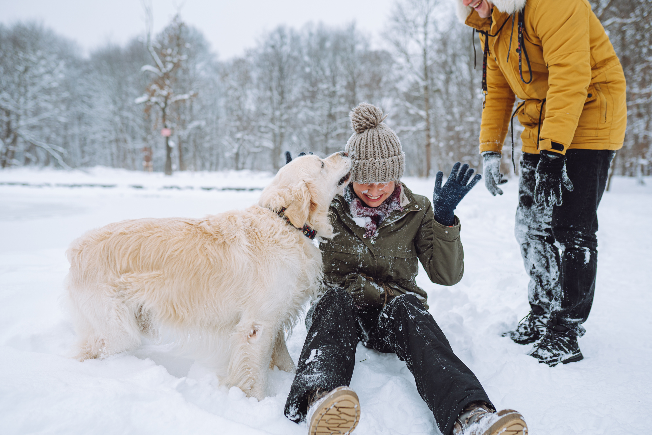 women playing with a dog in the snow
