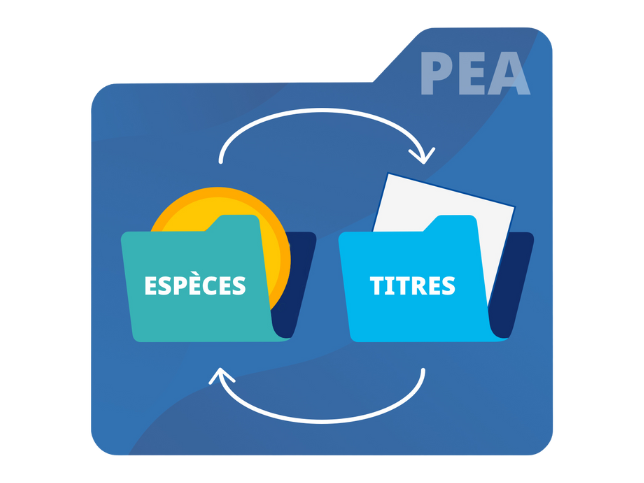 Infographie de l'enveloppe du PEA