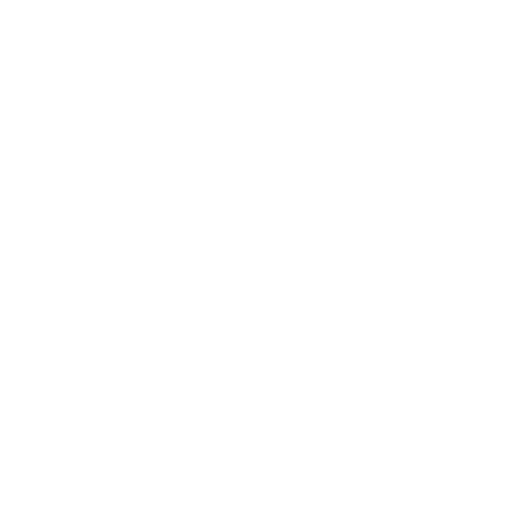 Video icon